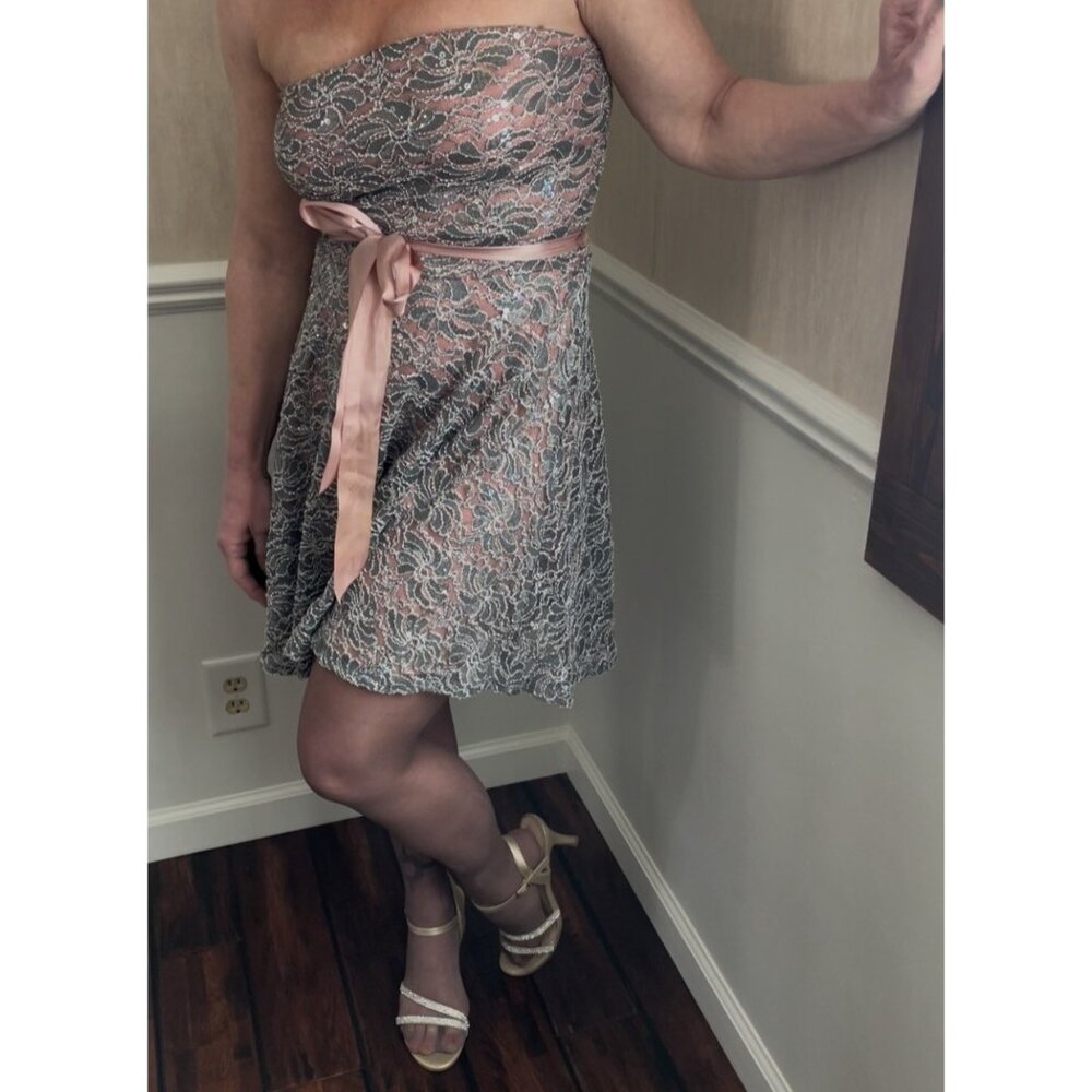 Delia Strapless Lace Dress Pink Satin Bow & Asymmetrical Silver Blush Colors Wom